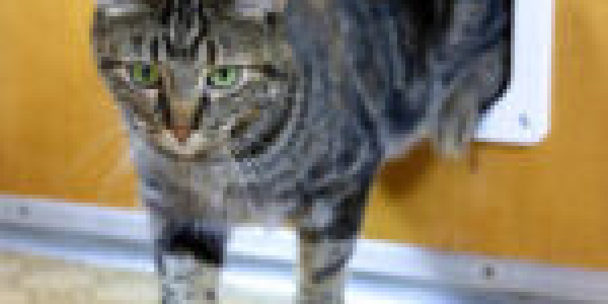 Why Pet Entrance Installer Is The Right Choice For You?
